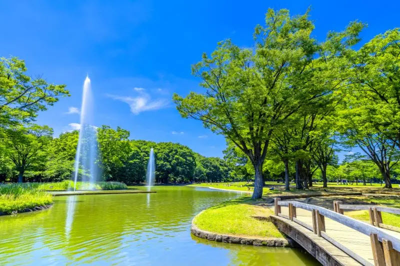 File:Yoyogi-park.jpg