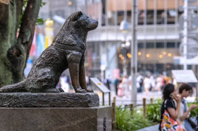 File:Hachiko-Statue.jpg